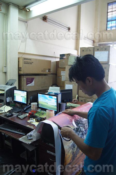 showroom may cat decal