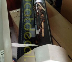 Lưu ý: Đề phòng chuột cắn máy cắt chữ decal