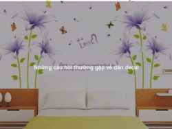 Những câu hỏi thường gặp về dán decal